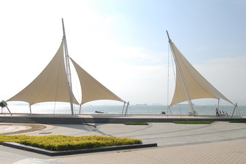 仿生学研究成果有哪些