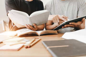 粉掌叶子发黄怎么办