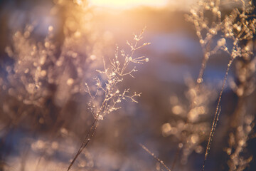卫生院健康教育技术专项