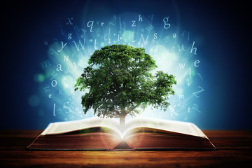 六年级上册数学脱式计算题100道有答案（不带简便计算和解方程）