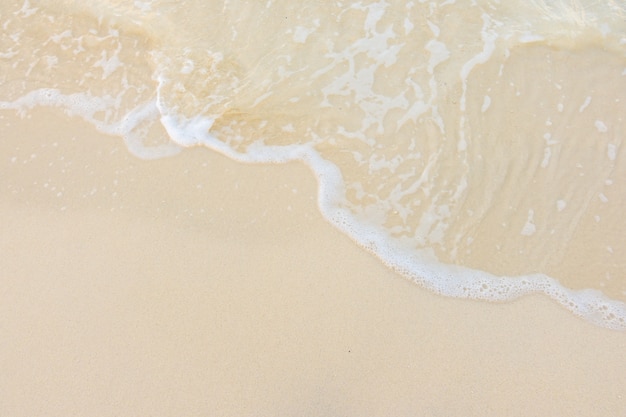 食育教育的内容是什么-