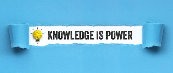 粉掌叶子发黄怎么办