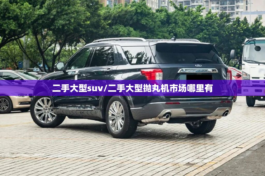 二手大型suv/二手大型抛丸机市场哪里有 二手大型suv/二手大型抛丸机市场哪里有