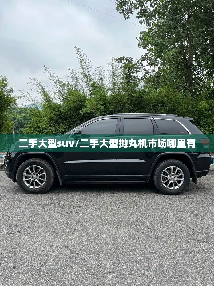 二手大型suv/二手大型抛丸机市场哪里有 二手大型suv/二手大型抛丸机市场哪里有