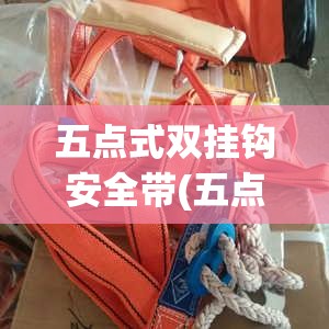 五点式双挂钩安全带(五点式双挂钩安全带标准)