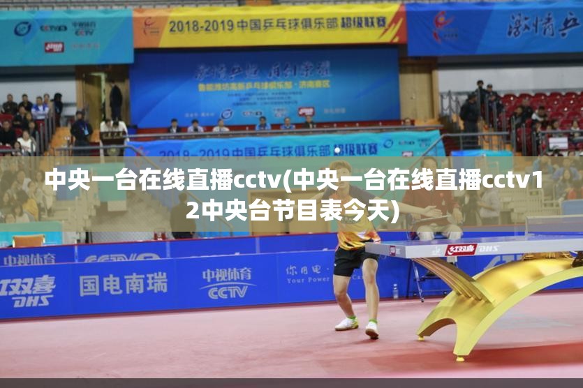 中央一台在线直播cctv(中央一台在线直播cctv12中央台节目表今天)
