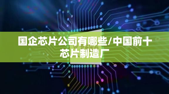 国企芯片公司有哪些/中国前十芯片制造厂 国企芯片公司有哪些/中国前十芯片制造厂