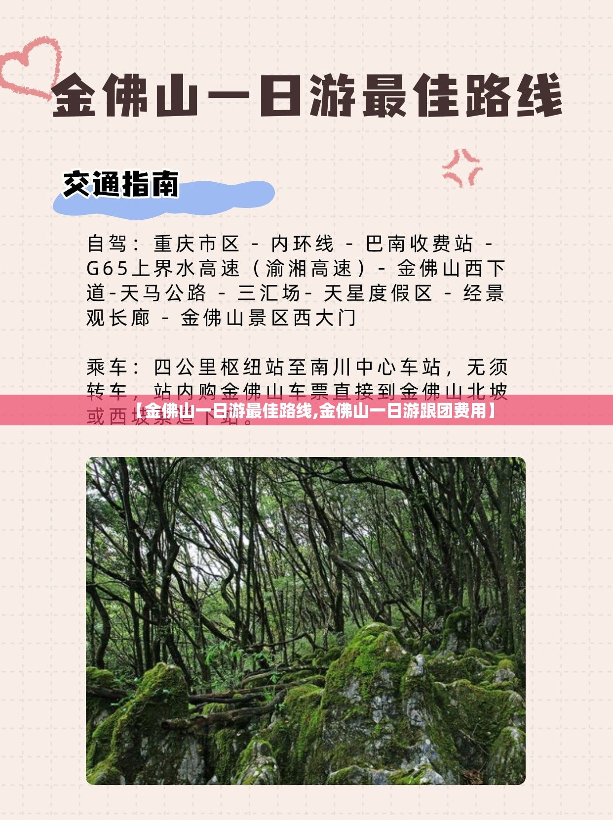 【金佛山一日游最佳路线,金佛山一日游跟团费用】 【金佛山一日游最佳路线,金佛山一日游跟团费用】