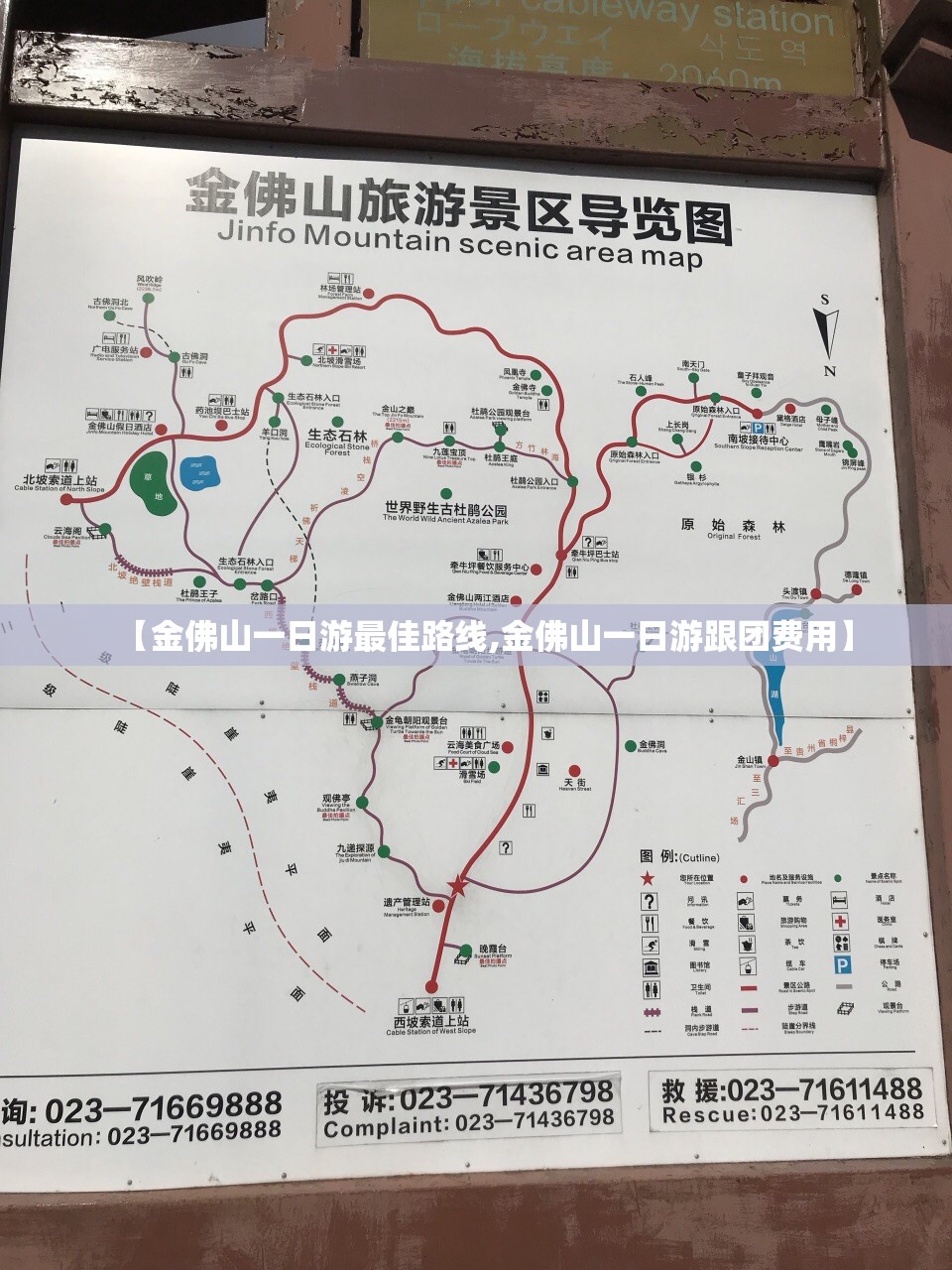 【金佛山一日游最佳路线,金佛山一日游跟团费用】 【金佛山一日游最佳路线,金佛山一日游跟团费用】