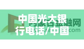 中国光大银行电话/中国光大银行电话信用卡客服