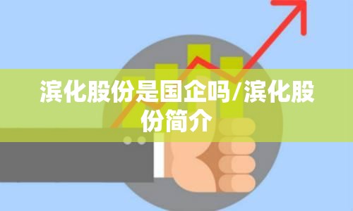 滨化股份是国企吗/滨化股份简介