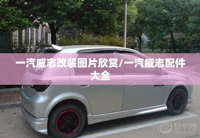 一汽威志改装图片欣赏/一汽威志配件大全
