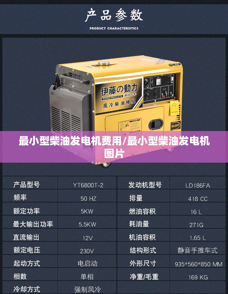 最小型柴油发电机费用/最小型柴油发电机图片