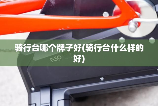 骑行台哪个牌子好(骑行台什么样的好) 骑行台哪个牌子好(骑行台什么样的好)