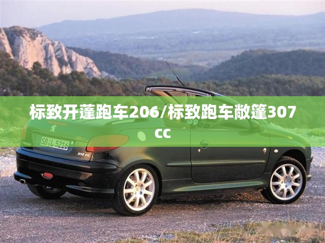 标致开蓬跑车206/标致跑车敞篷307cc