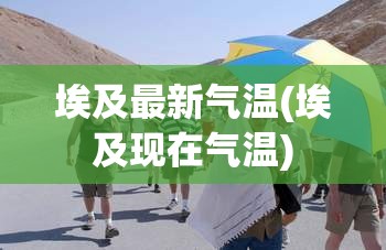 埃及最新气温(埃及现在气温)