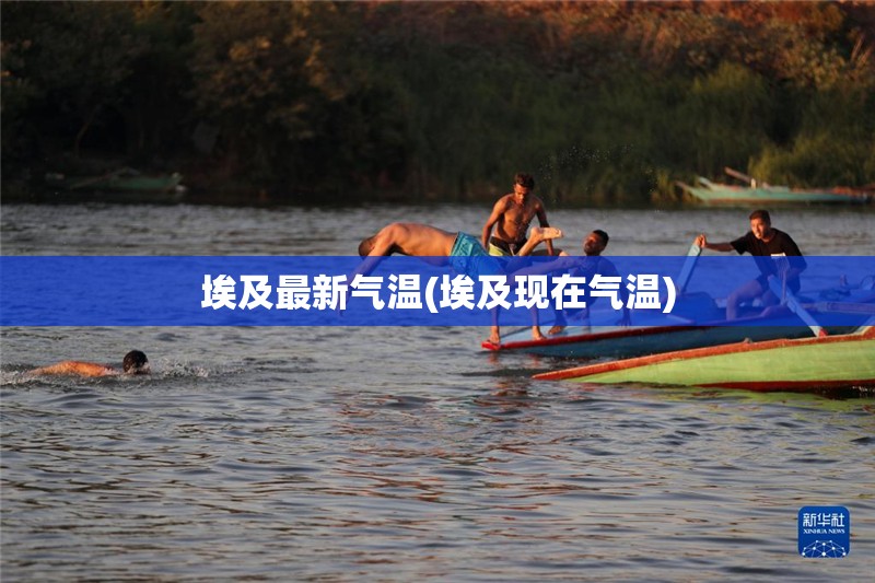 埃及最新气温(埃及现在气温)