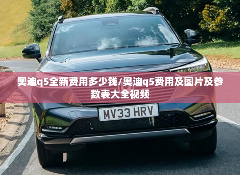 奥迪q5全新费用多少钱/奥迪q5费用及图片及参数表大全视频