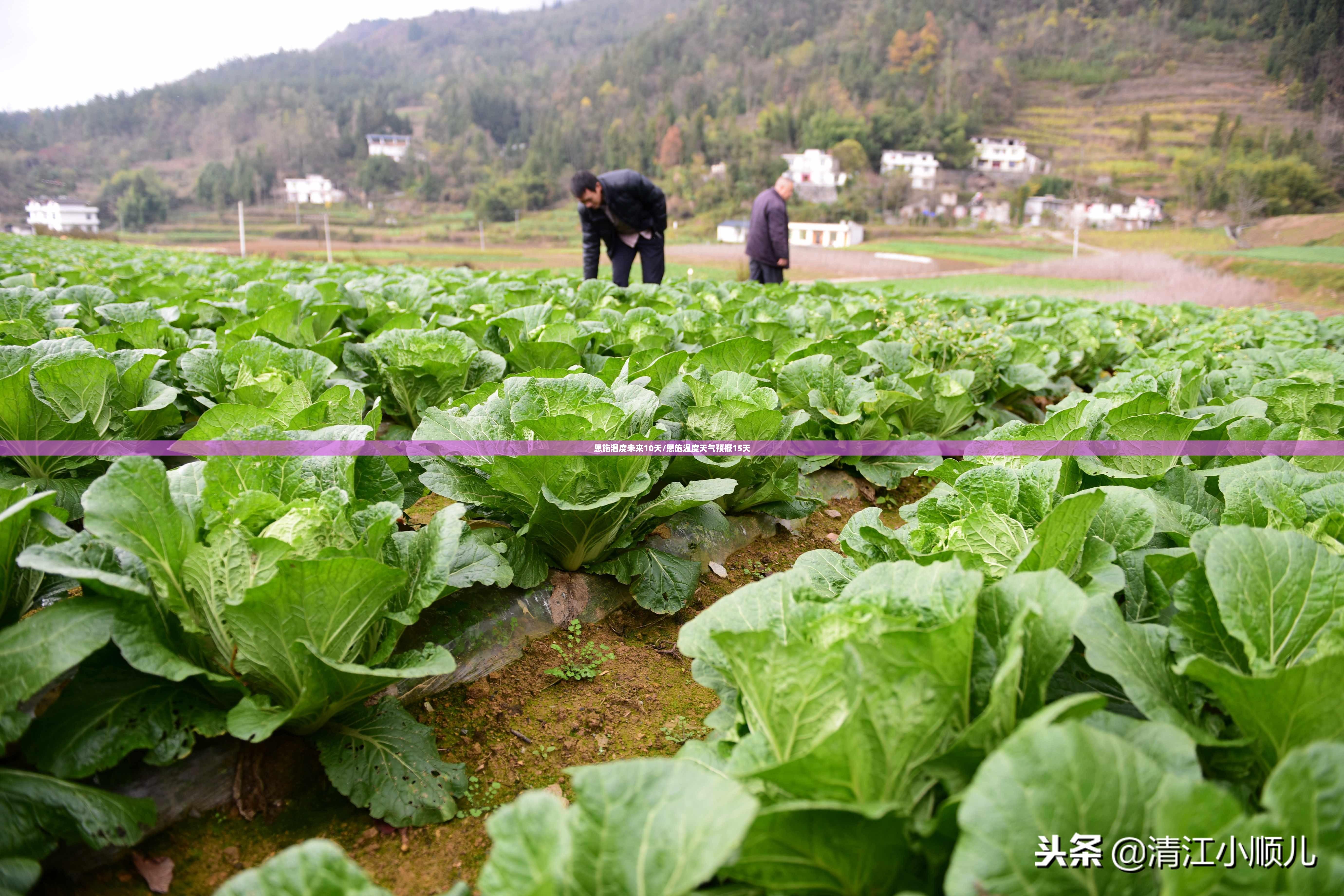 恩施温度未来10天/恩施温度天气预报15天 恩施温度未来10天/恩施温度天气预报15天