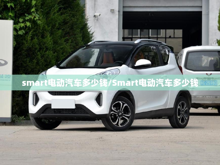 smart电动汽车多少钱/Smart电动汽车多少钱