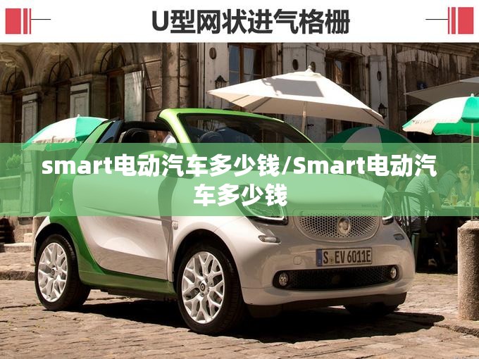 smart电动汽车多少钱/Smart电动汽车多少钱
