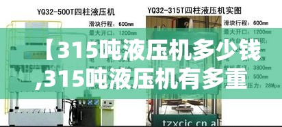 【315吨液压机多少钱,315吨液压机有多重】