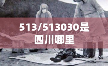 513/513030是四川哪里