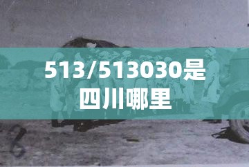 513/513030是四川哪里