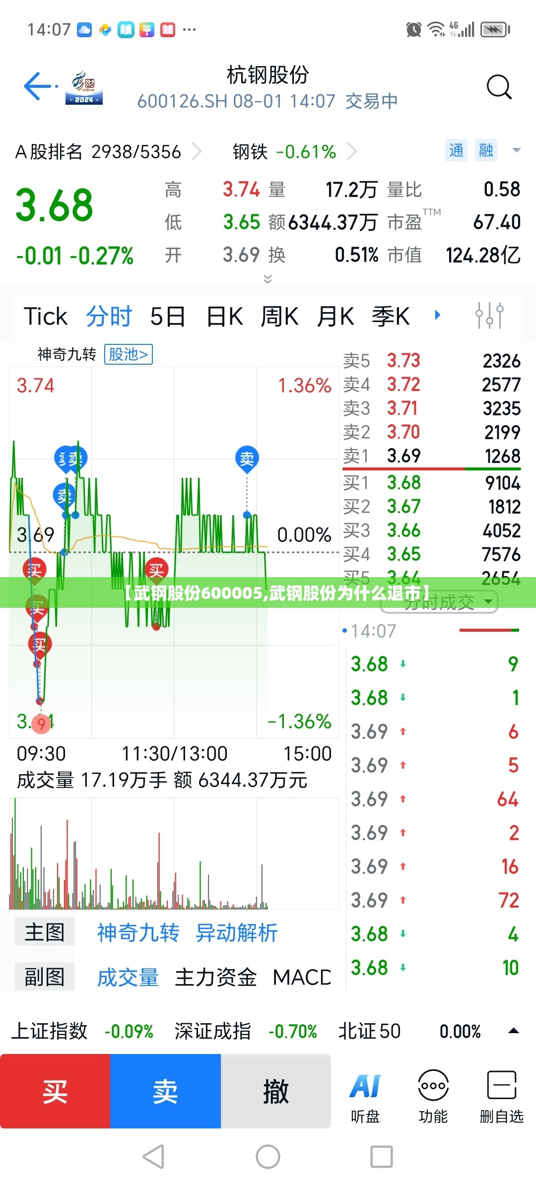 【武钢股份600005,武钢股份为什么退市】