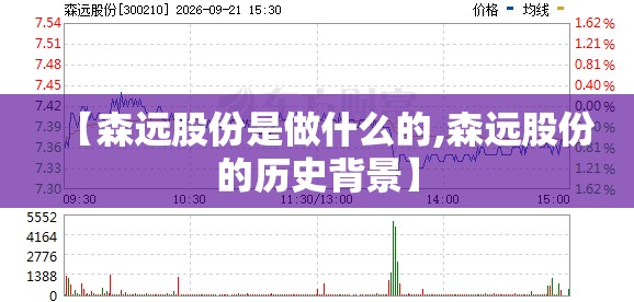 【森远股份是做什么的,森远股份的历史背景】