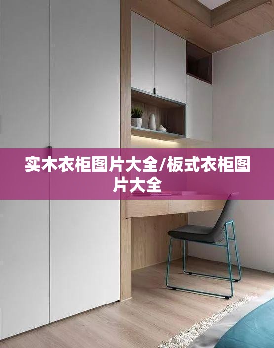 实木衣柜图片大全/板式衣柜图片大全