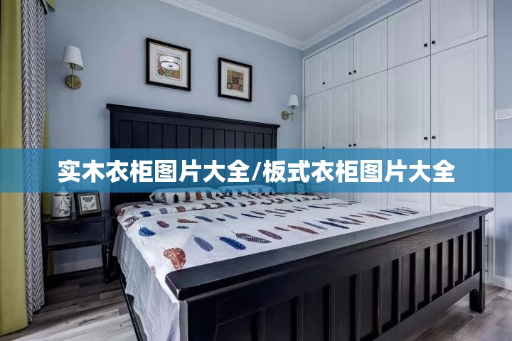 实木衣柜图片大全/板式衣柜图片大全