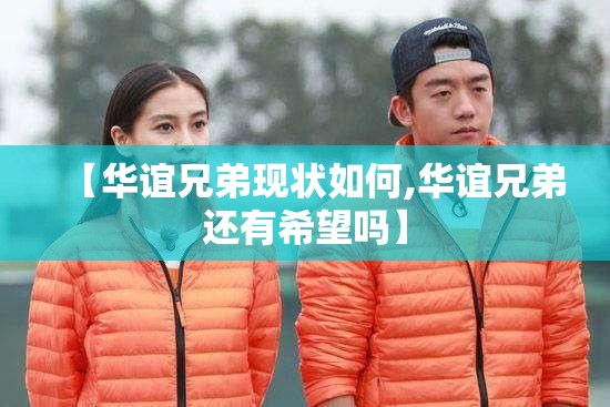 【华谊兄弟现状如何,华谊兄弟还有希望吗】 【华谊兄弟现状如何,华谊兄弟还有希望吗】