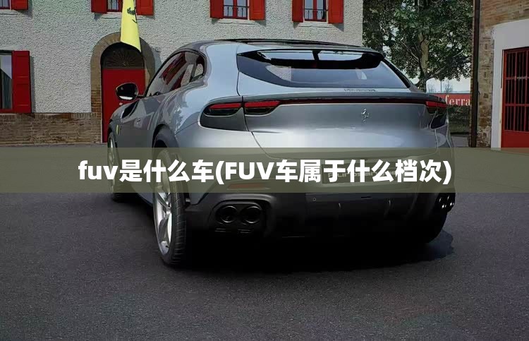 fuv是什么车(FUV车属于什么档次)