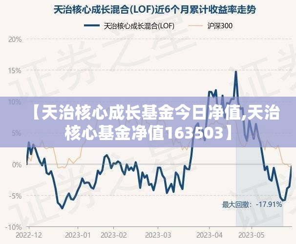 【天治核心成长基金今日净值,天治核心基金净值163503】
