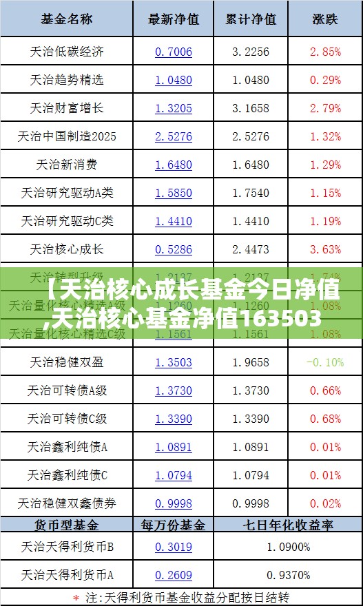 【天治核心成长基金今日净值,天治核心基金净值163503】