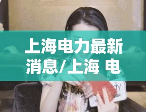 上海电力最新消息/上海 电力 上海电力最新消息/上海 电力
