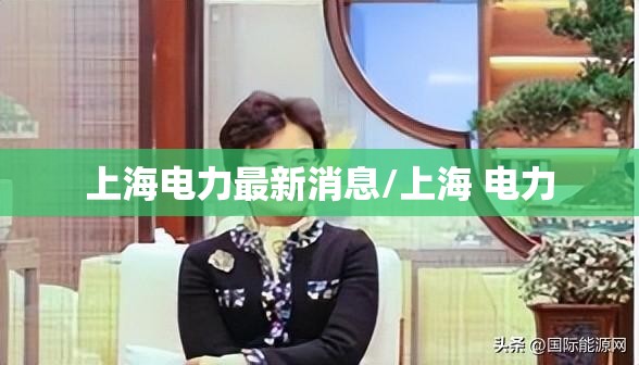 上海电力最新消息/上海 电力 上海电力最新消息/上海 电力