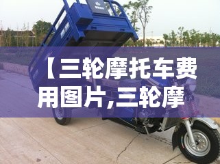 【三轮摩托车费用图片,三轮摩托车费用图片大全】 【三轮摩托车费用图片,三轮摩托车费用图片大全】