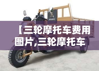 【三轮摩托车费用图片,三轮摩托车费用图片大全】 【三轮摩托车费用图片,三轮摩托车费用图片大全】