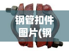 钢管扣件图片(钢管扣件种类图片)