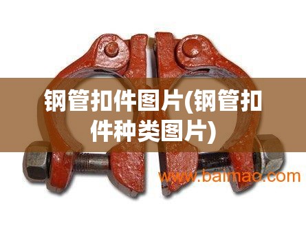 钢管扣件图片(钢管扣件种类图片)