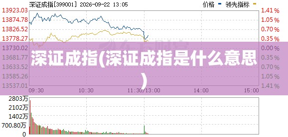 深证成指(深证成指是什么意思)