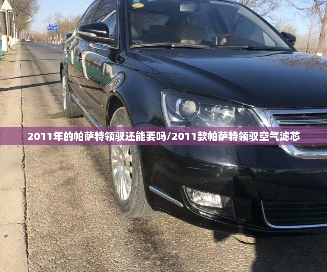 2011年的帕萨特领驭还能要吗/2011款帕萨特领驭空气滤芯