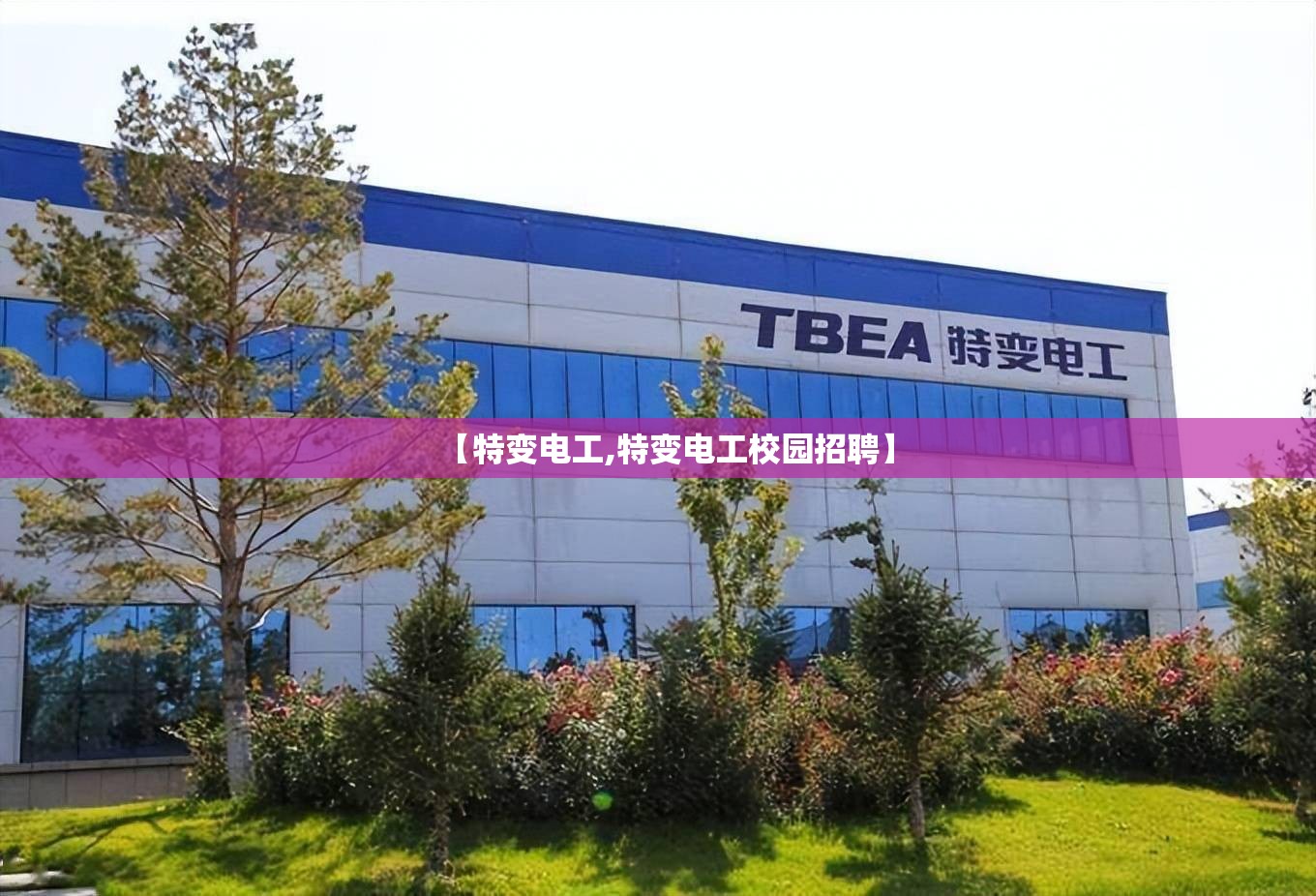 【特变电工,特变电工校园招聘】
