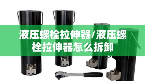 液压螺栓拉伸器/液压螺栓拉伸器怎么拆卸 液压螺栓拉伸器/液压螺栓拉伸器怎么拆卸