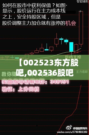 【002523东方股吧,002536股吧东方】