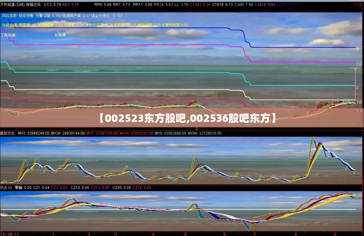 【002523东方股吧,002536股吧东方】