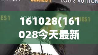 161028(161028今天最新净值)
