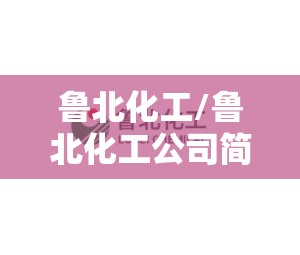 鲁北化工/鲁北化工公司简介